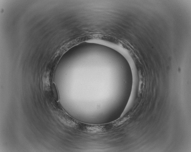 X0000085210516200703231510