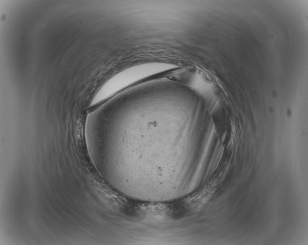 X0000085210517200703231510