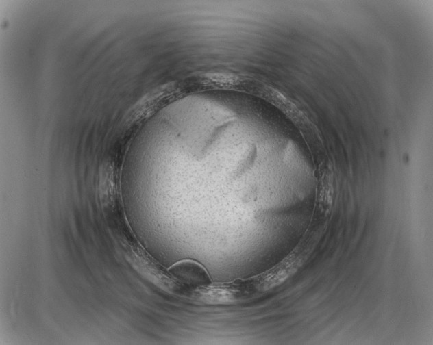 X0000085210518200703231510