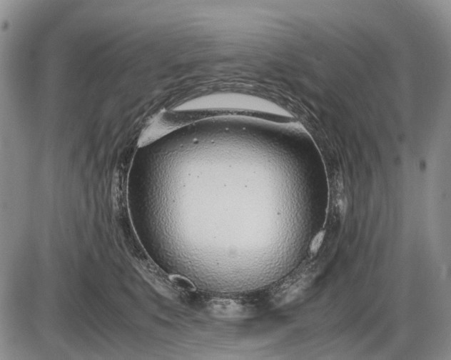 X0000085210519200703231510