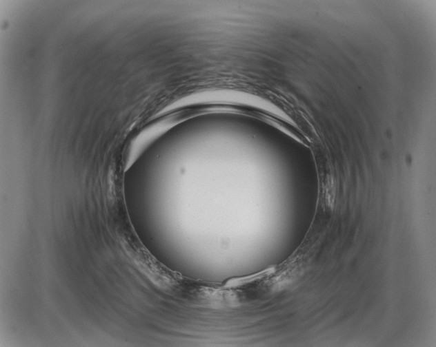 X0000085210520200703231510