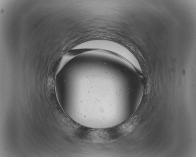 X0000085210521200703231510