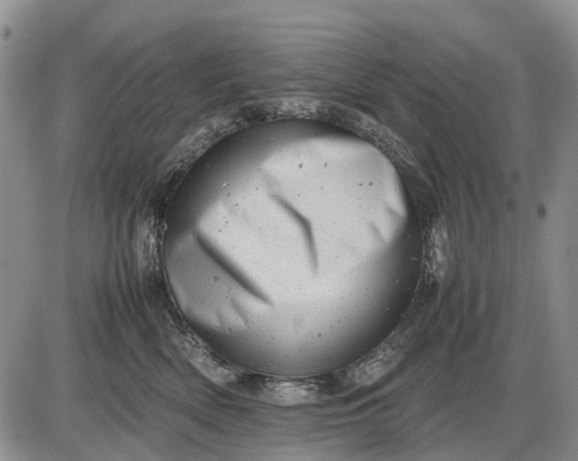 X0000085210522200703231510