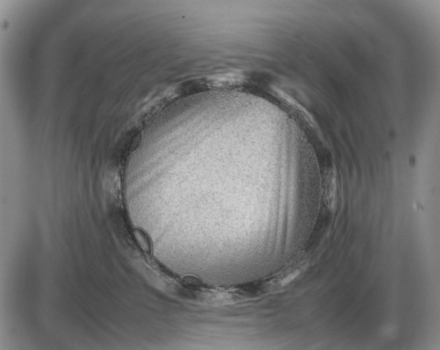 X0000085210523200703231510