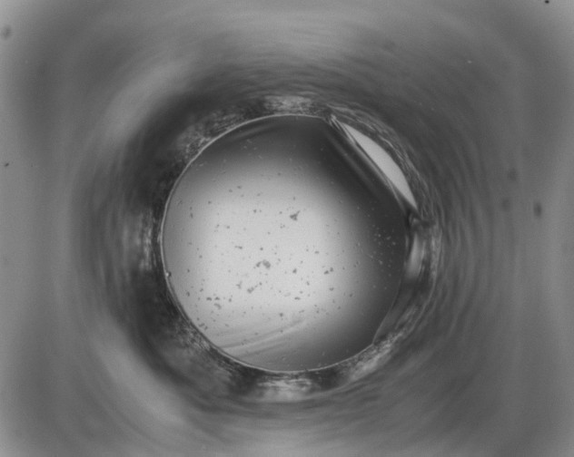 X0000085210525200703231510