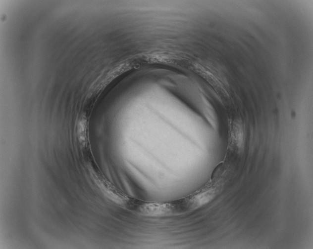 X0000085210526200703231510