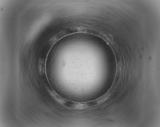 X0000085210527200703231510