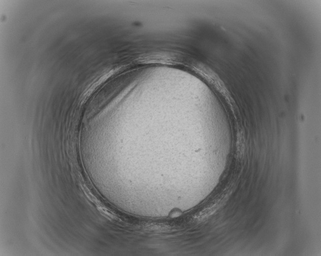 X0000085210529200703231509