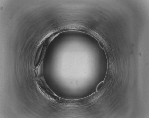 X0000085210530200703231509