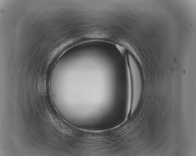 X0000085210531200703231509