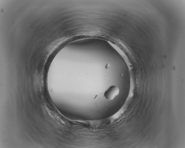 X0000085210532200703231509