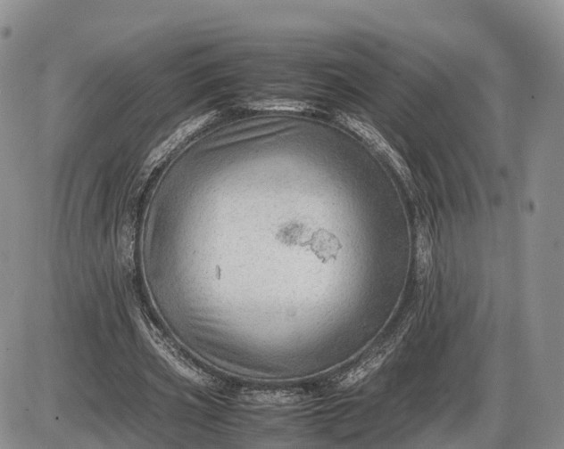 X0000085210533200703231509