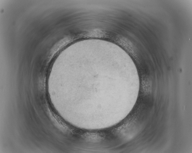 X0000085210534200703231509