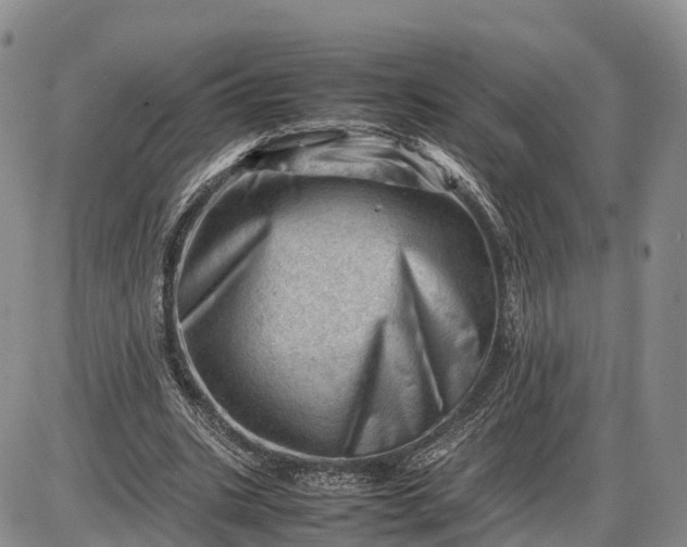 X0000085210535200703231509