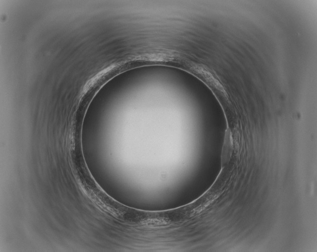 X0000085210536200703231509