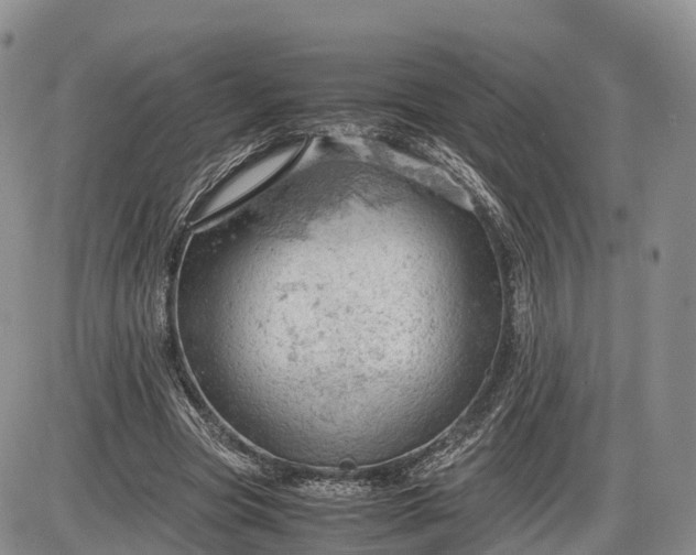 X0000085210537200703231509