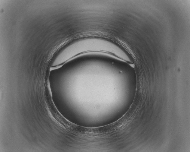 X0000085210538200703231509