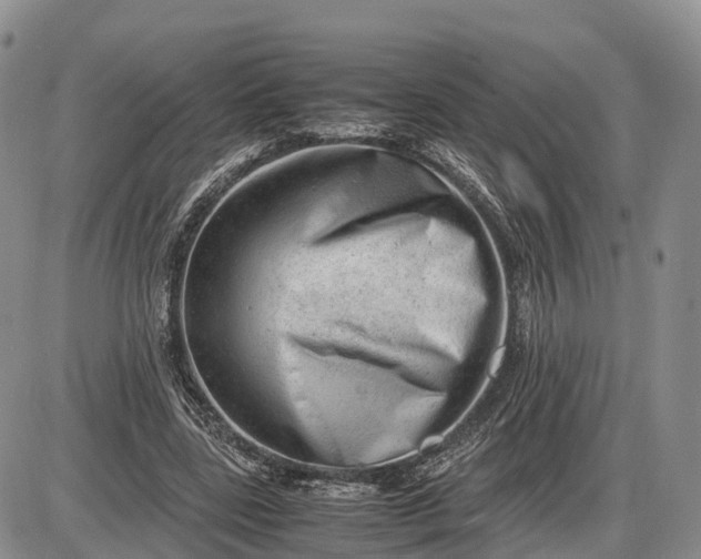 X0000085210539200703231509