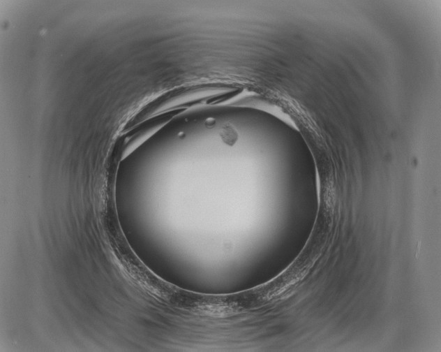 X0000085210540200703231509