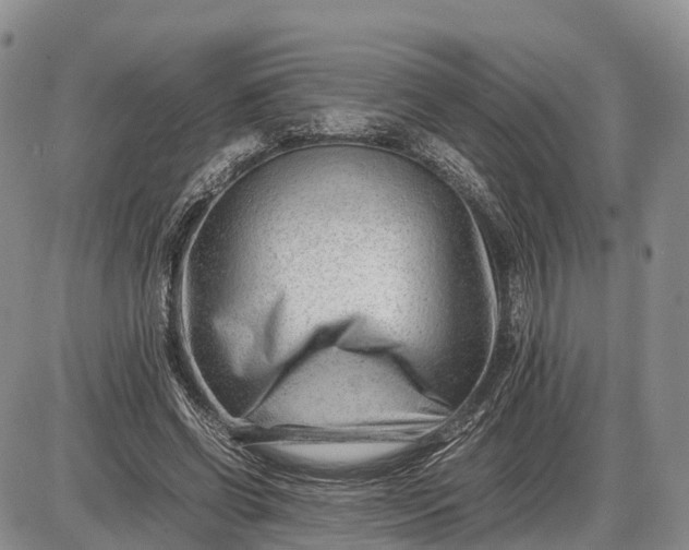 X0000085210542200703231509