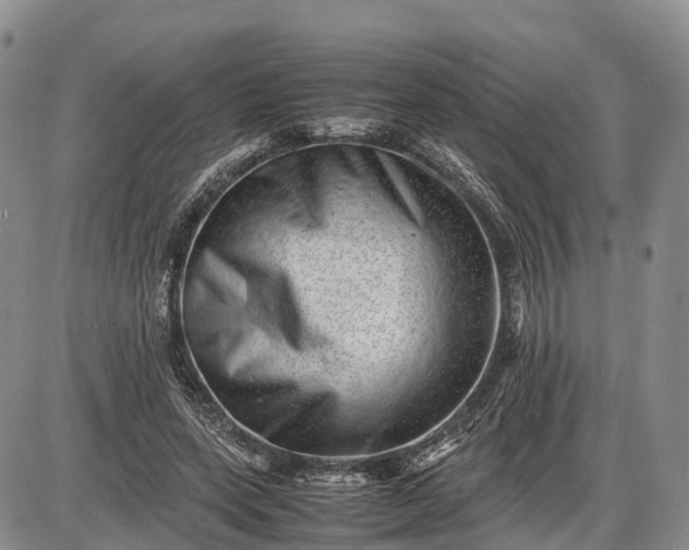 X0000085210543200703231509