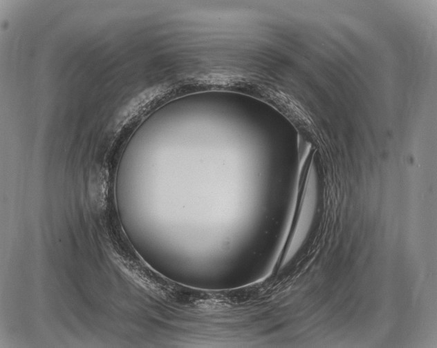 X0000085210544200703231509