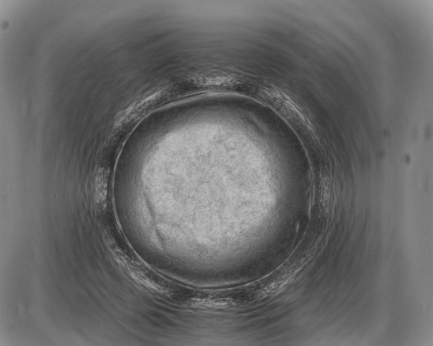 X0000085210545200703231509