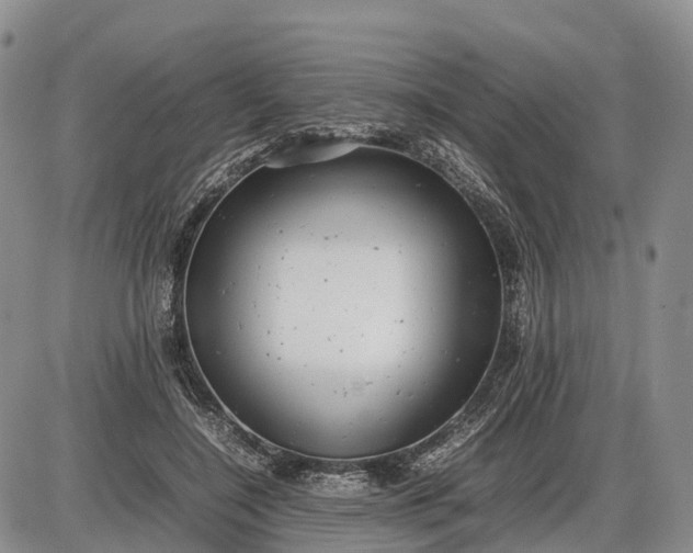 X0000085210548200703231509