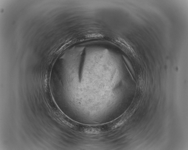 X0000085210549200703231509