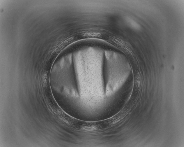 X0000085210551200703231509