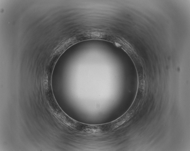 X0000085210552200703231509