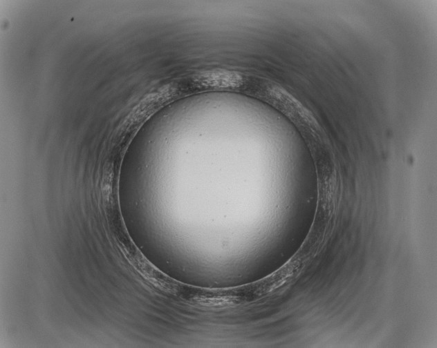 X0000085210553200703231509