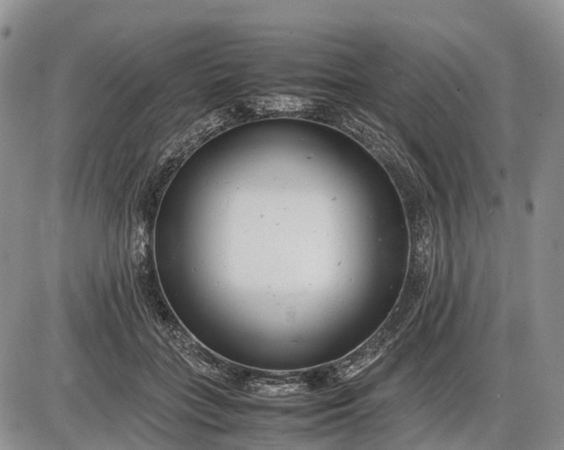 X0000085210555200703231510