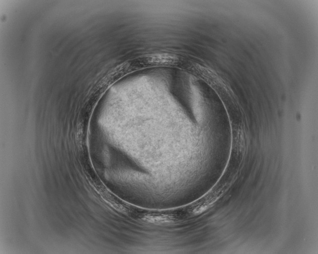 X0000085210557200703231510