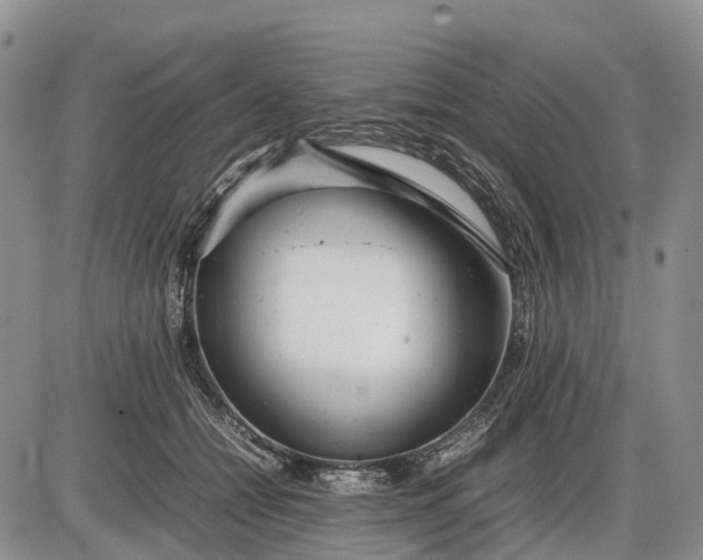 X0000085210558200703231510