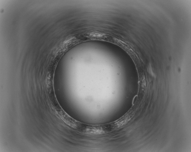 X0000085210559200703231510