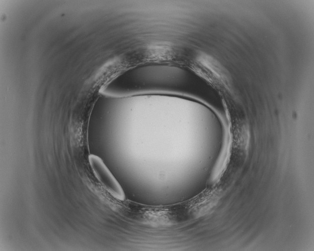 X0000085210560200703231510