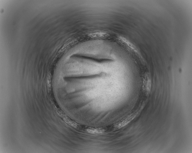 X0000085210561200703231510