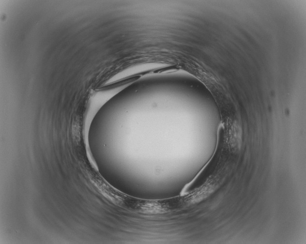 X0000085210562200703231510