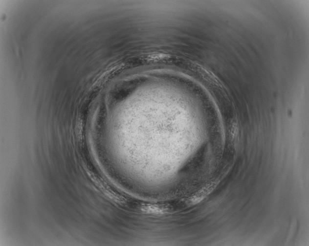 X0000085210565200703231510