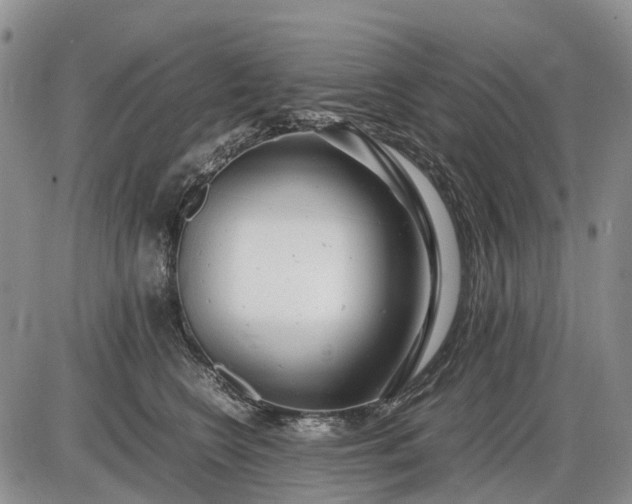 X0000085210566200703231510