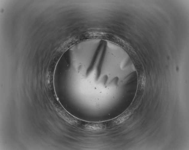 X0000085210567200703231510