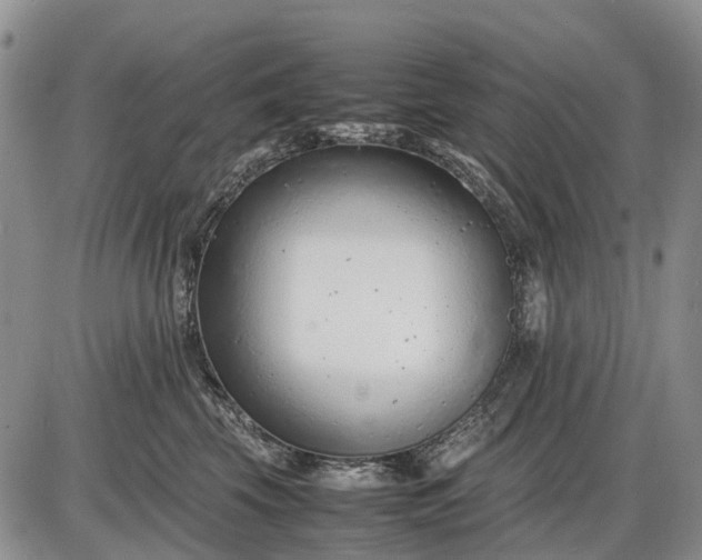 X0000085210569200703231510