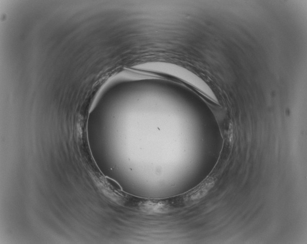 X0000085210570200703231510