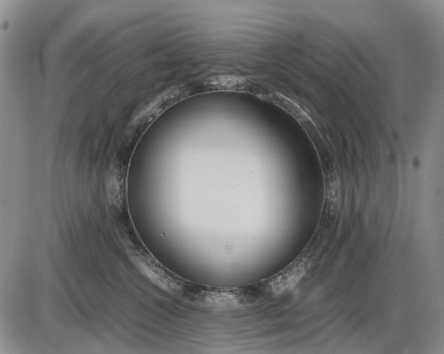 X0000085210572200703231510