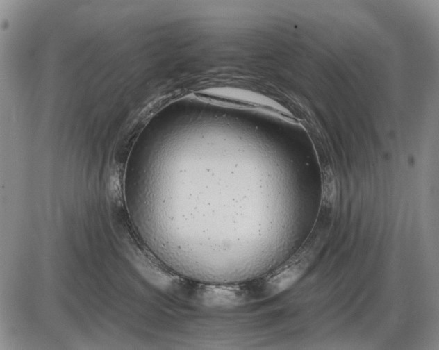 X0000085210573200703231510