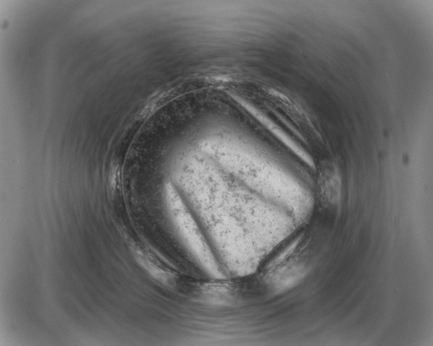 X0000085210574200703231510