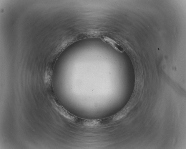 X0000085210576200703231510