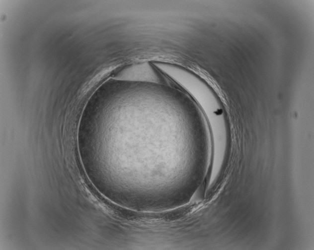 X0000085210577200703231509