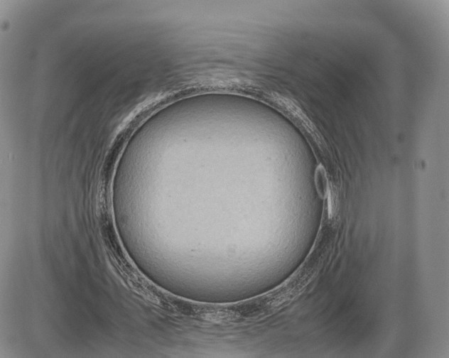 X0000085210579200703231509